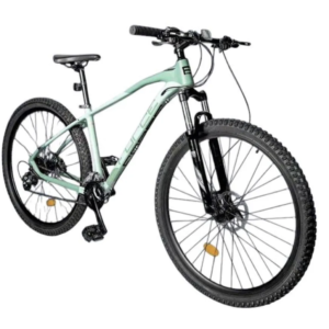 Bicicleta Force MAVERICK 1.0 ARO 29 VERDE